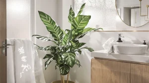 Quelle plante pour salle de bain choisir pour un coin de verdure unique ?