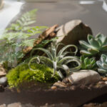 découvrez comment choisir les meilleures plantes pour réussir votre terrarium et créer un petit écosystème esthétique et facile à entretenir.
